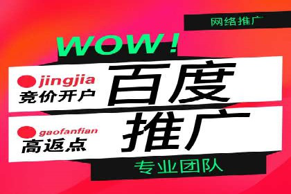百度竞价投放技巧：行业领先企业的成功策略案例